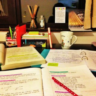 What are the Subjects for the CAT Exam